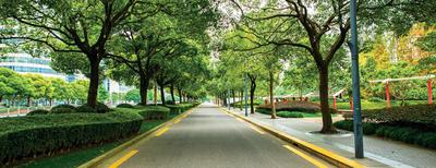 Project Image of 305.0 - 475.0 Sq.ft 1 BHK Apartment for buy in Lodha Golden Sunrise