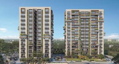 Primula Suryam Primrose Elevation 1