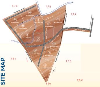Tranquila Hills Site Plan 1