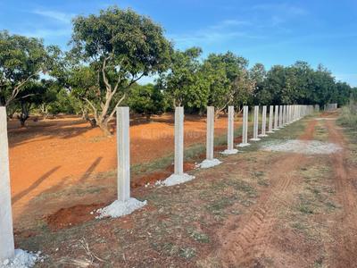 Project Image of 1503.0 - 4500.0 Sq.ft Residential Plot Plot for buy in Sai Mango Garden