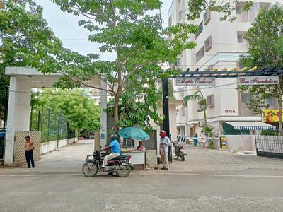 Project Image of 720.0 - 1125.0 Sq.ft 2 BHK Apartment for buy in Ben Maple Orchard