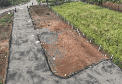 Project Images