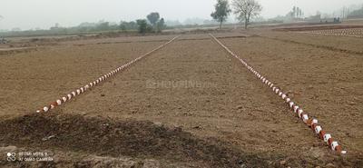 Project Image of 800.0 - 2000.0 Sq.ft Residential Plot Plot for buy in Rudransh Enclave