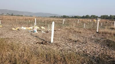 Project Image of 1000.0 - 10000.0 Sq.ft Residential Plot Plot for buy in Plot Guru in Ranjanpada