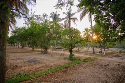 Project Image of 1593.06 - 4389.0 Sq.ft Residential Plot Plot for buy in DRA Ranka Palm Lakeside