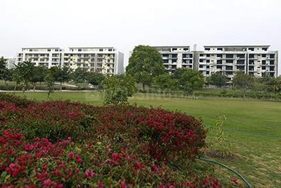 Vatika The Park Elevation 1
