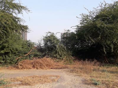 Project Image of 1692.0 - 2700.0 Sq.ft Residential Plot Plot for buy in Jaypee Country Homes 2