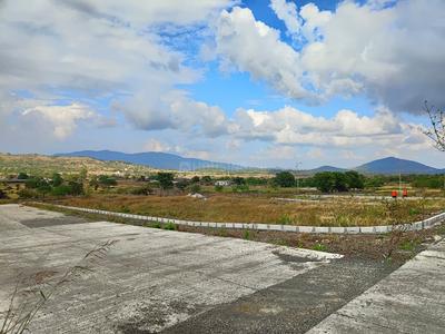 Project Image of 1250.0 - 4000.0 Sq.ft Residential Plot Plot for buy in The Blue Oak