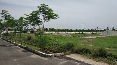 Project Image of 1503.0 - 3150.0 Sq.ft Residential Plot Plot for buy in Harmony Town East