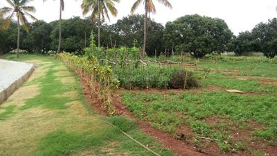 Project Image of 1108.0 - 2400.0 Sq.ft Residential Plot Plot for buy in Shriram Godhuli