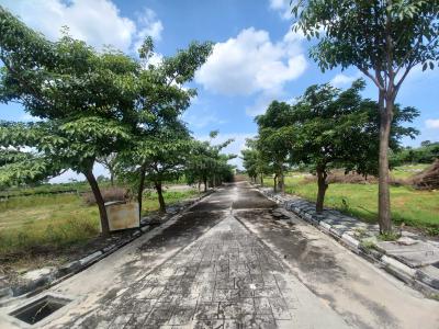 Project Image of 1474.66 - 4014.94 Sq.ft Residential Plot Plot for buy in Vimala Vyoma