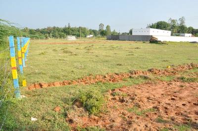 Project Image of 500.0 - 1441.0 Sq.ft Residential Plot Plot for buy in Vetri Grace Nagar Phase 2