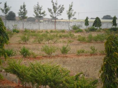 Project Image of 1500.0 - 2400.0 Sq.ft Residential Plot Plot for buy in Greater Eco Vista