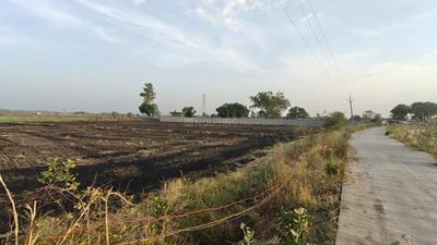 Project Image of 3000.0 - 6000.0 Sq.ft Agricultural Land Agricultural Land for buy in Kanha Piece Of Gold