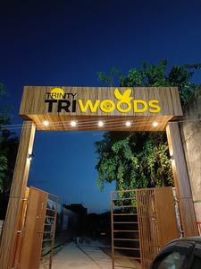 Project Image of 1630.0 - 1855.0 Sq.ft 3 BHK Duplex for buy in Trinity Triwoods