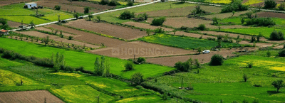 Project Image of 879.2 - 1537.84 Sq.ft Residential Plot Plot for buy in North Neoliv Grand Forest Prive 4