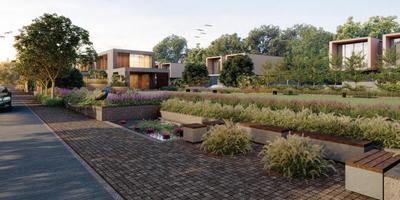 Skye Hyde Park NX Landscape Garden and Tree Planting 2