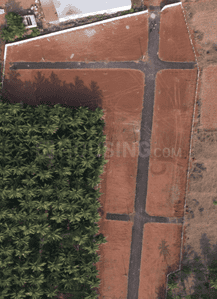 Project Images