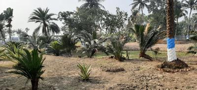Project Image of 1440.0 - 4320.0 Sq.ft Residential Plot Plot for buy in P A Ramkrishna Abasan