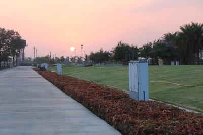 Project Image of 0.0 - 500.0 Sq.ft Residential Plot Plot for buy in Tirumala Padmawati