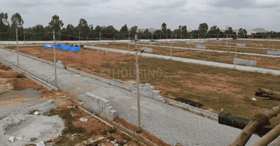 Project Images