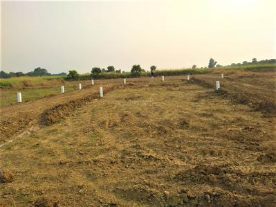 Project Image of 900.0 - 1700.0 Sq.ft Residential Plot Plot for buy in Goal Indraprastha City