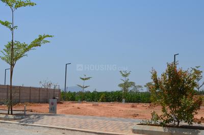 Project Image of 1144.0 - 2070.0 Sq.ft Residential Plot Plot for buy in Maanya Tulips