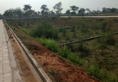 Project Image of 0.0 - 1622.77 Sq.ft Residential Plot Plot for buy in Wallfort Vatika Phase 1