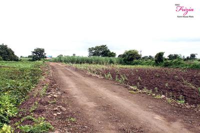 Project Image of 3394.0 - 4915.0 Sq.ft Residential Plot Plot for buy in FDCC Frizia