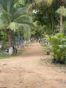 Project Image of 5659.0 - 16247.0 Sq.ft Residential Plot Plot for buy in Arinaa Country Farms