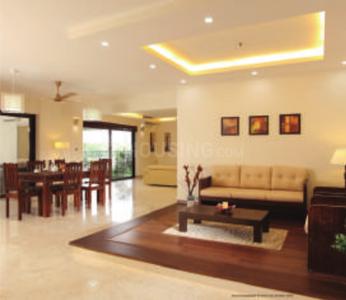 Gallery Cover Pic of Asset Lineage