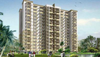 Today Canary Greens today ele.jpg 1