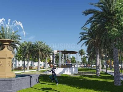 Amolik City Walk 81 Landscape Garden and Tree Planting 1