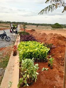 Project Image of 1200.0 - 3999.0 Sq.ft Residential Plot Plot for buy in Excel Oxygen