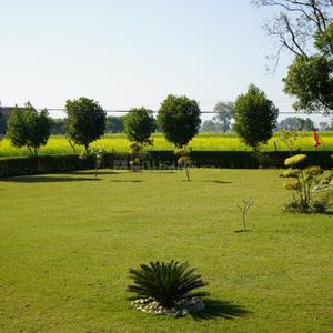 Project Image of 900.0 - 2700.0 Sq.ft Residential Plot Plot for buy in Anugrah Homes
