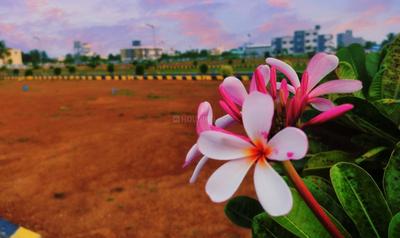 Project Image of 600.0 - 2400.0 Sq.ft Residential Plot Plot for buy in Properticks Jewel One
