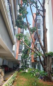 Project Image of 1273.0 - 2721.0 Sq.ft 2 BHK Apartment for buy in Abhigna Misty Woods