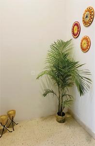 Project Image of 380.0 - 692.0 Sq.ft 1 BHK Apartment for buy in Beetle Orchid