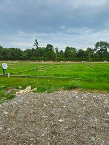 Project Image of 1026.0 - 6741.0 Sq.ft Residential Plot Plot for buy in Platinum Township