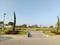 IAP Forest Trail Phase 1 Landscaped Gardens 2