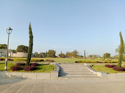 IAP Forest Trail Phase 1 Landscaped Gardens 2
