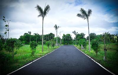 Project Images