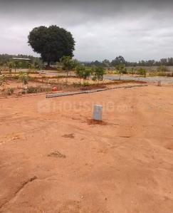 Project Image of 1200.0 - 1500.0 Sq.ft Residential Plot Plot for buy in Clear Just Green