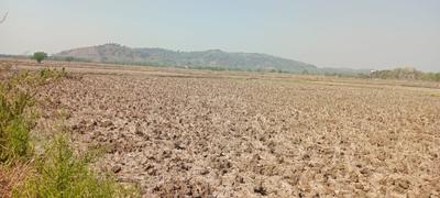 Project Image of 1000.0 - 10000.0 Sq.ft Residential Plot Plot for buy in Plot Wale Ulwe