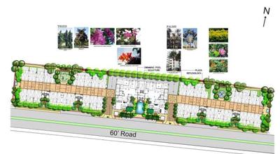 Project Images