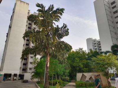 Project Image of 374.0 - 529.0 Sq.ft 1 BHK Apartment for buy in Pate West Coast Park Phase II