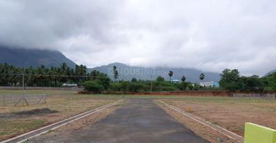 Project Images