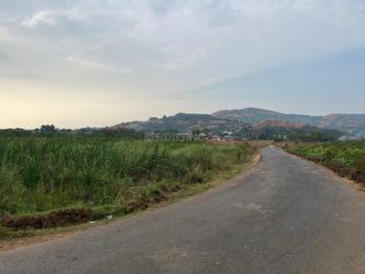 High Vision Plots In Ulwe Maha Mumbai Internal Roads 1