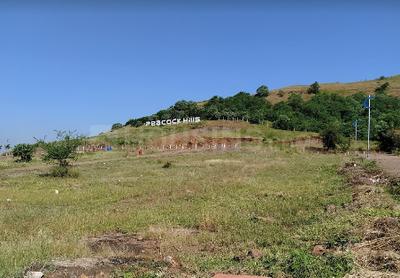Project Image of 575.0 - 95867.0 Sq.ft Residential Plot Plot for buy in Peacock Hills
