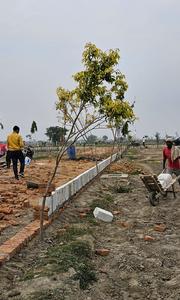Project Image of 0.0 - 900.0 Sq.ft Residential Plot Plot for buy in Cosy Presidium Empire